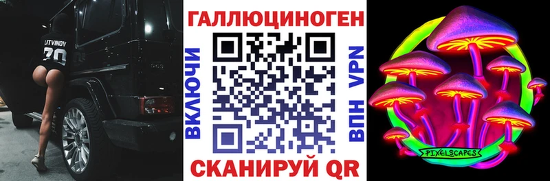 продажа наркотиков  Касимов  блэк спрут онион  Галлюциногенные грибы Psilocybine cubensis 
